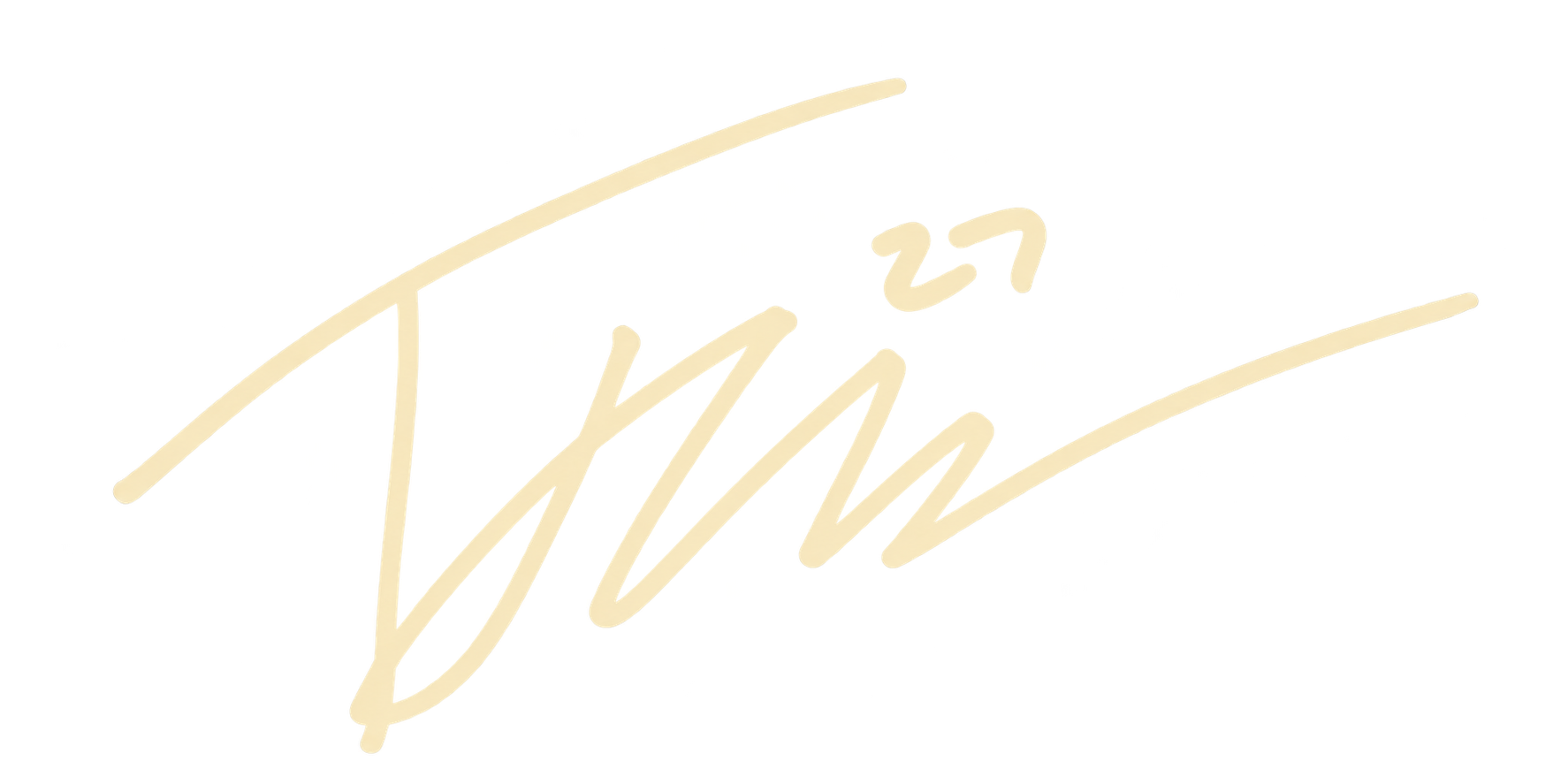 TJ Werner signature